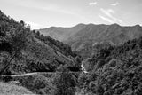 San Mateo – Washed Arabica – Oaxaca – Mexico