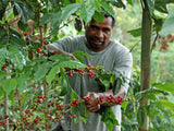 Morobe – Papua New Guinea