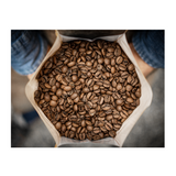 Vikings Do It Better (Modern Italian Espresso) 100% Arabica – Light Roast