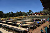 Hambella - Guji - Ethiopia